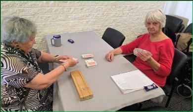 senior citizens playing cards cartoon. Image 1 of 4