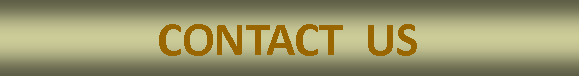 Text Box: CONTACT  US